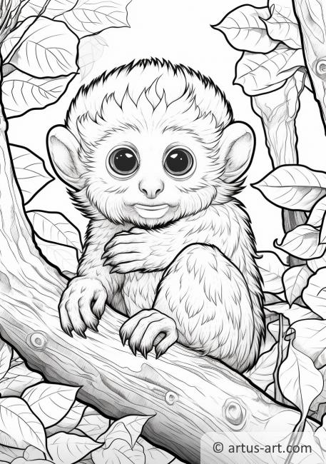 Marmosets Coloring Page